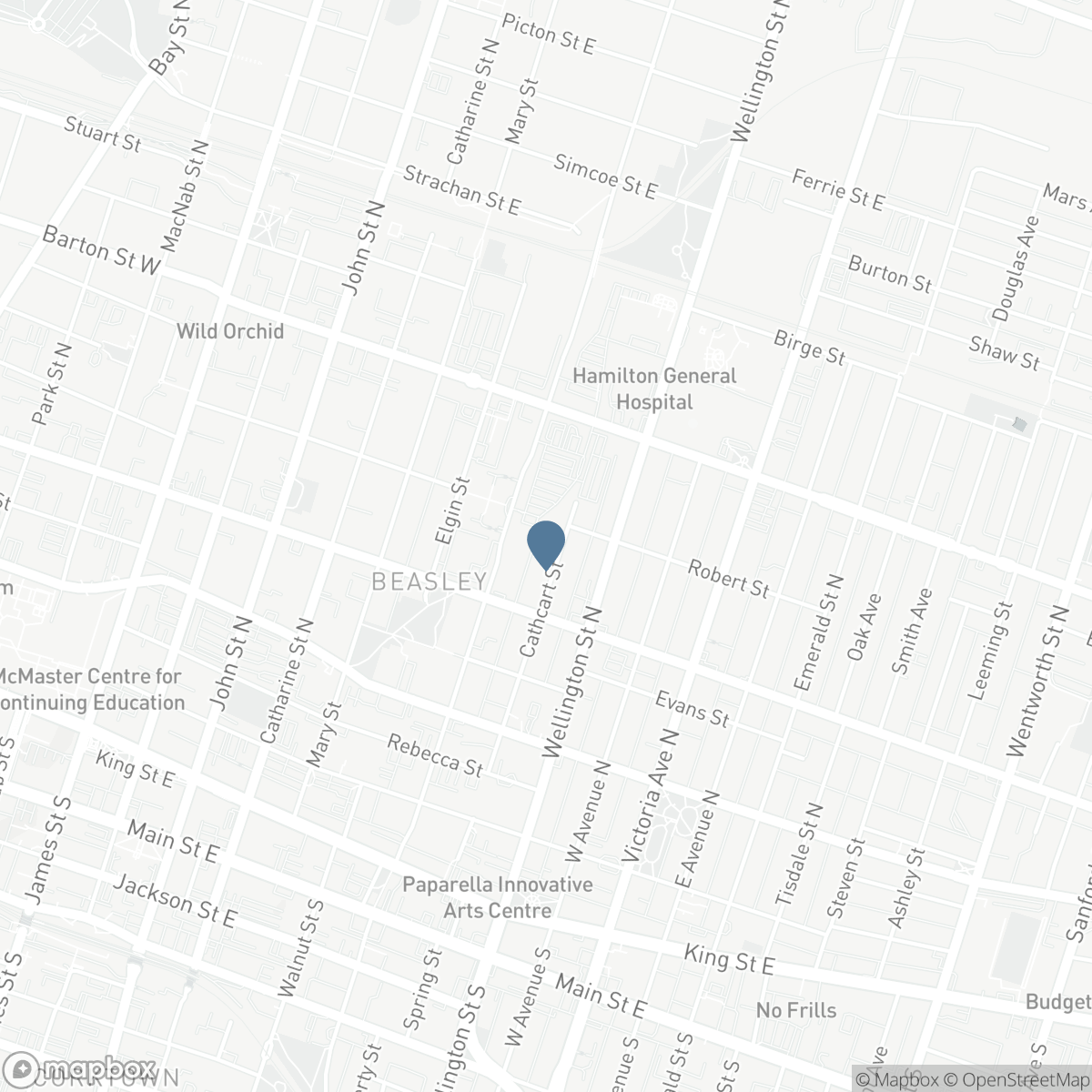 125 CATHCART STREET, Hamilton, Ontario L8L 5A1